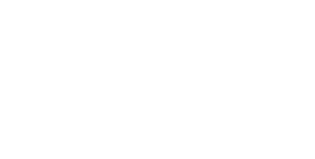 BSI Logo